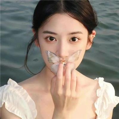 蒂科与鲨鱼